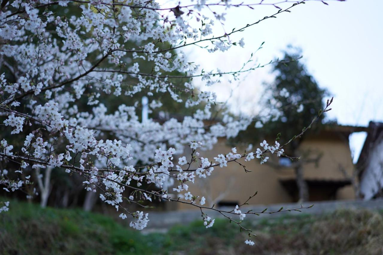 Oldbutnew 蔵 Apartment Hara  Bagian luar foto